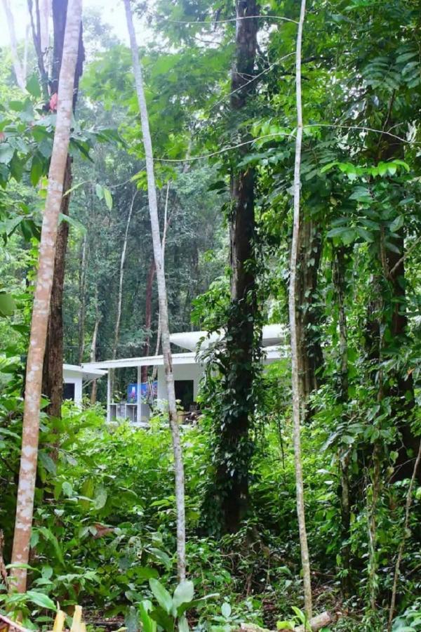 Casa Eden - Modern Peaceful Jungle Apartments Cocles Exterior photo