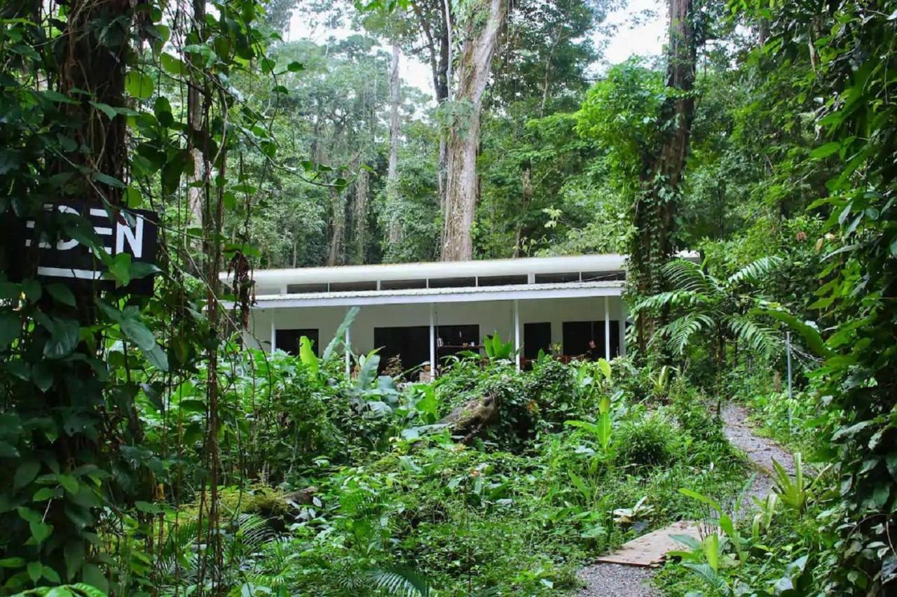 Casa Eden - Modern Peaceful Jungle Apartments Cocles Exterior photo