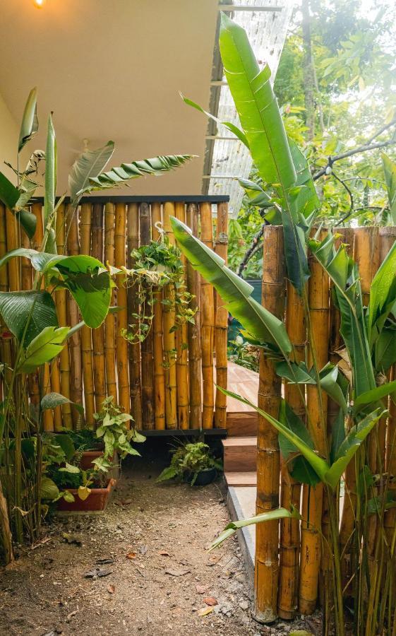 Casa Eden - Modern Peaceful Jungle Apartments Cocles Exterior photo